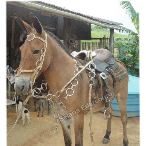 Traia de frente para cavalo  Arreios para cavalos, Acessorios